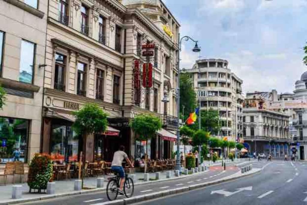 Super Central - Lovely One-Bedroom Apartment On Victoriei Avenue Bukarest Exteriör bild